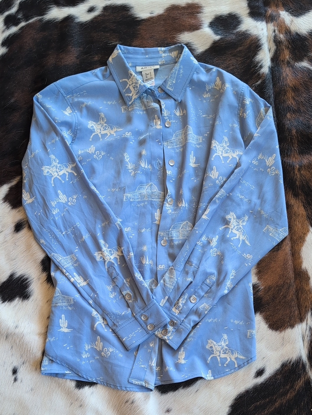 Ariat Women's Homestyle Long Sleeve Button Down